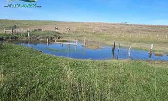 Imagem 7: Sítio 4 hectares com açude em Águas claras, oportunidade!