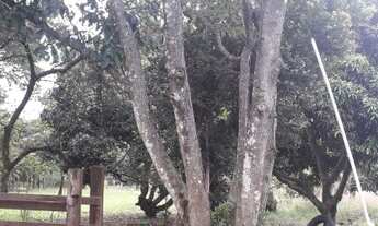 Imagem 6: Fazenda/Sítio/Chácara para venda com 9757000 metros quadrados