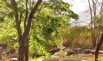 Imagem 5: Aluga-se flat mobiliado