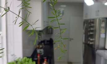 Imagem 3: Apartamento amplo 2 dorm reformado na Aparecida em Santos na quadra da Praia