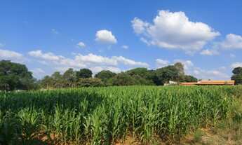 Imagem 3: Sorocaba Proximo 5.000 m² (Lindo Terreno