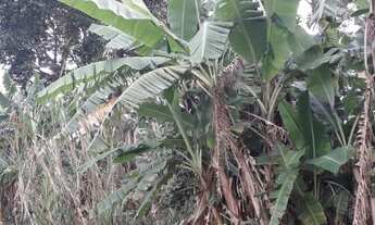 Imagem 4: Fazenda/Sítio/Chácara para venda com 9757000 metros quadrados