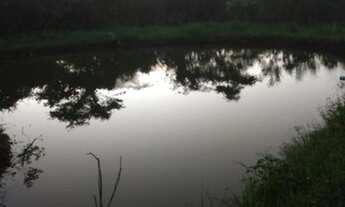 Imagem 2: Chácara para venda em Corumbá de Goiás - Goiás