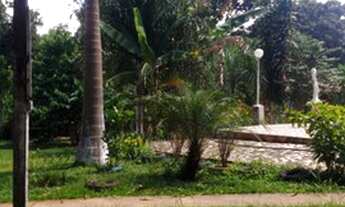 Imagem 3: Chácara para venda possui 14000 metros quadrados com 6 quartos