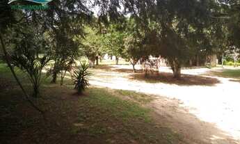 Imagem 2: Lindo Sítio 1 hectare com 2 casas, piscina e galpão em Águas claras