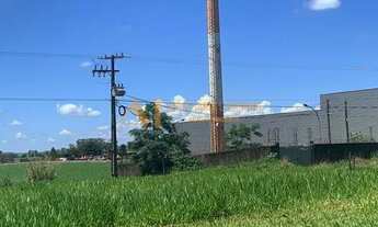 Imagem 3: Terreno em rua - Jardim Santa Adelaide