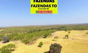 Imagem 3: Fazenda grande dupla aptidão região de Rio Sono Tocantins