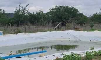 Imagem: Vendo roça na Carnaiba do Sertão
