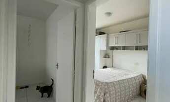 Imagem 4: Oportunidade - lindo ap de 02 dormitórios semi mobiliado São José