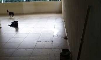 Imagem 4: Vende-se Casa em Morro das Pedras - Raul Soares - MG