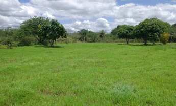 Imagem 3: Chácara Top Chácara com venda por R$250.000