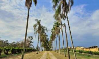 Imagem 2: Terreno à venda em Sousas - Campinas/SP