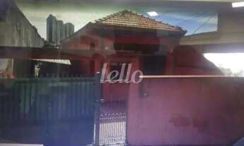 Imagem 3: São Paulo - Casa Padrão - Água Rasa