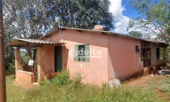 Imagem 7: Sítio sentido Tapuirama