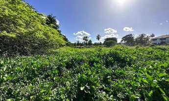 Imagem 2: Vendo Área beira mar em Maria Farinha!