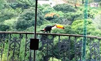 Imagem 3: CASA TÉRREA - MONTERREY - SP