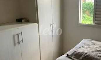 Imagem 6: São Paulo - Apartamento Padrão - Tucuruvi