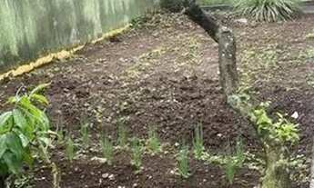 Imagem: Casa com 4 dormitórios para alugar, 350