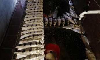 Imagem: Lote chácara no Araguaia