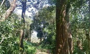 Imagem 5: Condomínio c/ Horta Comunitária: terrenos 1000m2 p/ sua chácara, Marinque SP