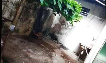 Imagem 7: Alugo casa no Nova esperança