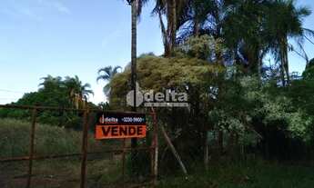 Imagem 3: Chácara à venda, 1 quarto, 1 vaga, Chácara Panorama - Uberlândia/MG