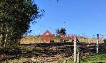 Imagem 2: Chácara à venda, 24000 m² - Mandirituba/PR