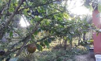 Imagem 6: Fazenda/Sítio/Chácara para venda possui 96 metros quadrados com 2 quartos