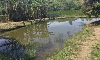 Imagem 5: Vendo ou troco sítio no sul de minas