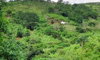 Imagem 7: Sitio dos sonhos em Triunfo/PE