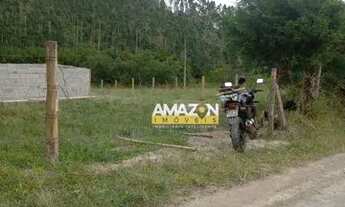 Imagem 2: Chácara à venda, 12000 m² por R$ 250.000 - Centro - Natividade da Serra/SP