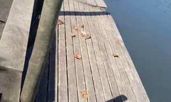 Imagem: Locação/Guarujá - Galpão Náutico