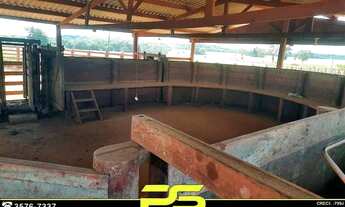 Imagem 5: Fazenda à Venda, 4.095 Alqueires Por R$ 240.000.000 - Ouro - Barra do Ouro/to