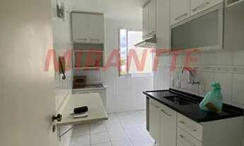 Imagem 5: Apartamento de 45m² com 2 quartos em Santa Terezinha