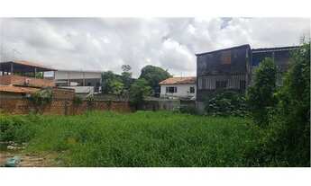 Imagem 3: Vendo excelente lote em Enseada dos Corais, ótimo tamanho, plano, em rua tranquila e ótima