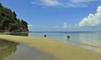 Imagem 6: Lote à venda em rua pública, BAÍA DE TODOS-OS-SANTOS, Cabaceiras do Paraguaçu, BA