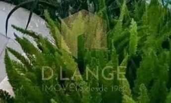 Imagem 4: Apartamento à venda no bairro Vila Nova em Campinas