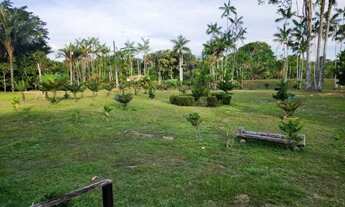 Imagem 4: Sítio 1000 x 3.000 estrada Balbina 1.016.000