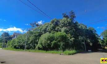 Imagem: Terreno para Venda em Nova Petrópolis