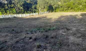 Imagem 5: Chácara em Mandirituba