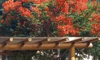 Imagem 5: Casa 6 quartos em Jaua condominio fechado temporada ou anual