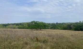 Imagem 2: Chácara de 20.000 m² toda cercada, com riacho nos fundos, Jaboticatubas