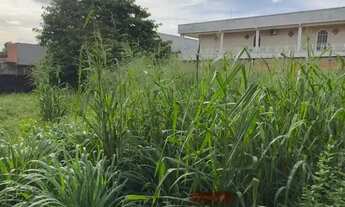 Imagem 5: Ótimo lote no Condomínio Ponta Negra I