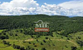 Imagem 2: Fazenda 323 alqueires (1.563 hectares) Colinas Do Sul - Go