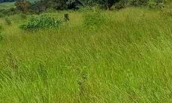 Imagem 7: Fazenda à Venda, zona rural, Rubiataba, GO