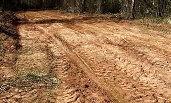 Imagem 5: Terreno com Espaço Amplo e Útil