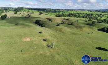 Imagem 7: Fazenda à Venda em Anicuns GO | 34 Alqueires | 28 em Lavoura