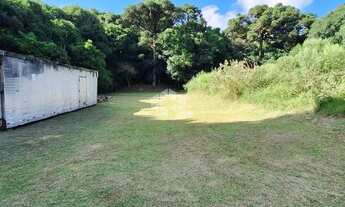 Imagem 3: Amplo terreno em otima localização em Garibaldi