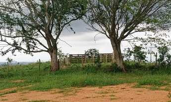Imagem 2: Sítio com 12 Alqueires ótimo para criação de gado... 7 km d Asfalto, 28 km d ANGATUBA, não