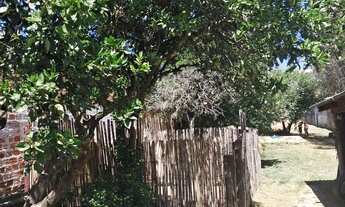 Imagem 5: Terreno 11x160 com 2 casas